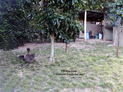 166 Bunyah Road, Nabiac