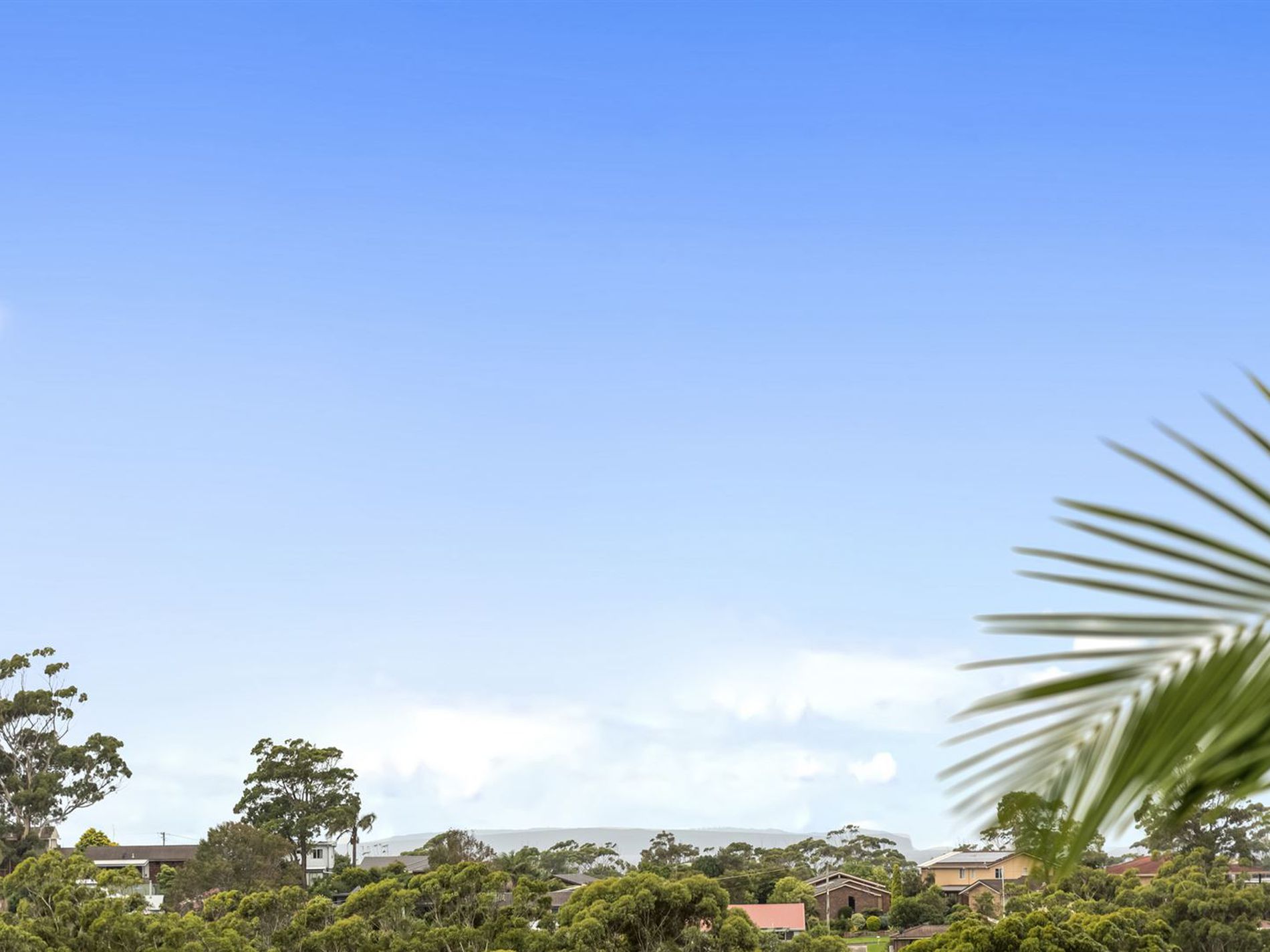 41 Treetops Crescent, Mollymook