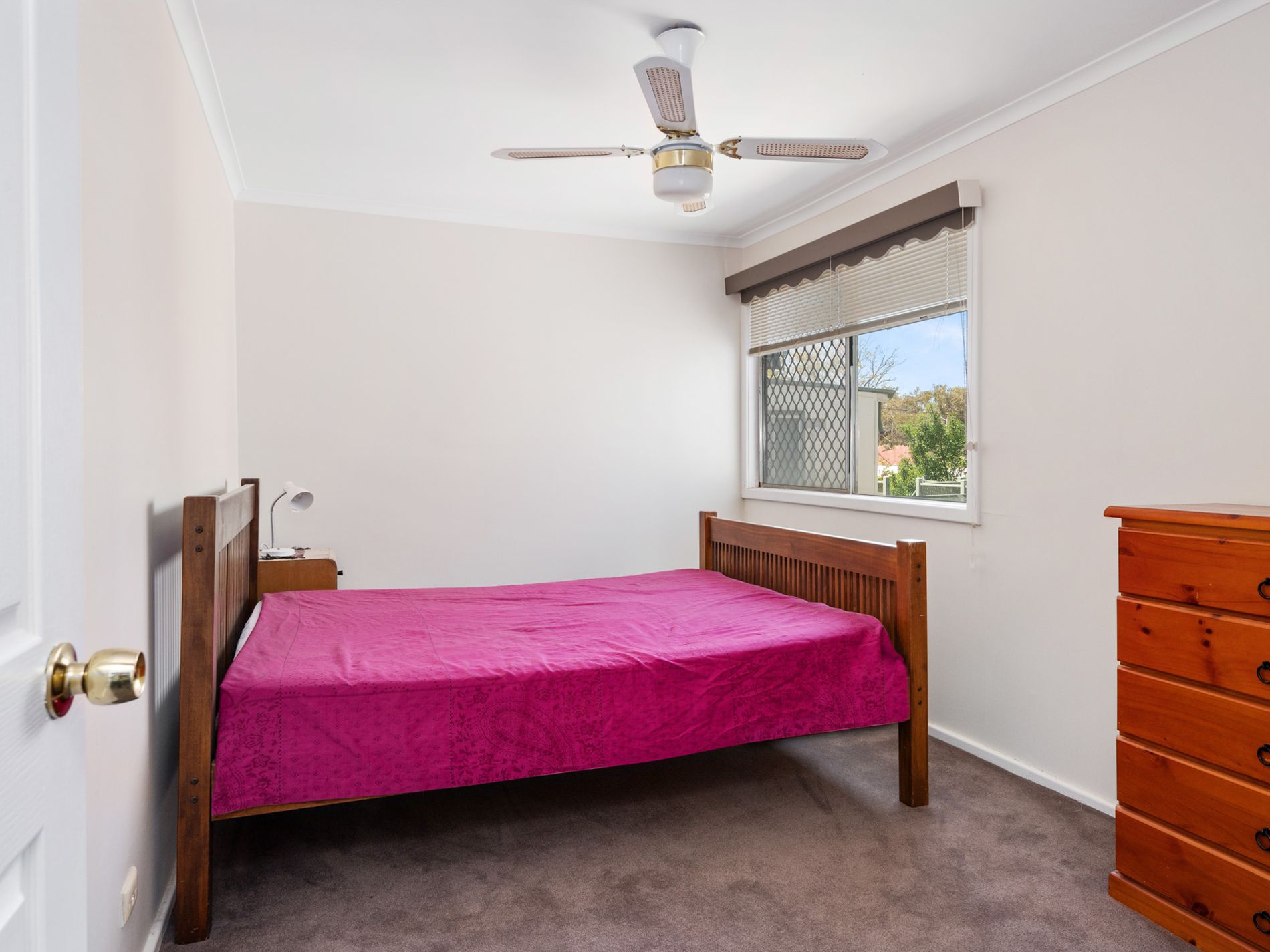 33 Lyall Street, Lamington