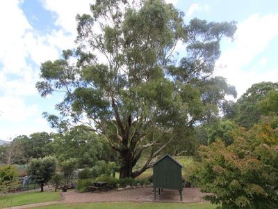 95 Mackays Road, Kangaroo Valley