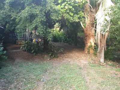 24 Seagren Street, Cooktown