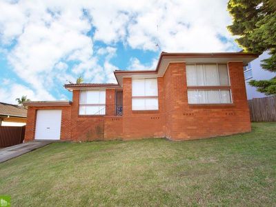 Mount Warrigal