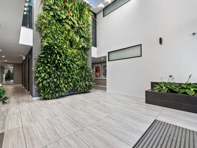 1005 / 123 Cavendish Road, Coorparoo