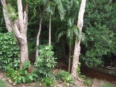 24 Seagren, Cooktown