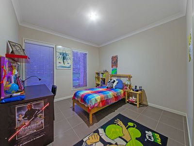 35 Higgs Cct, Wynnum West