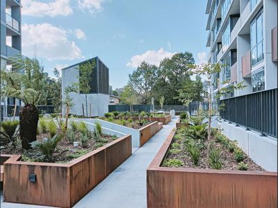 607 / 349 Northbourne Avenue, Dickson