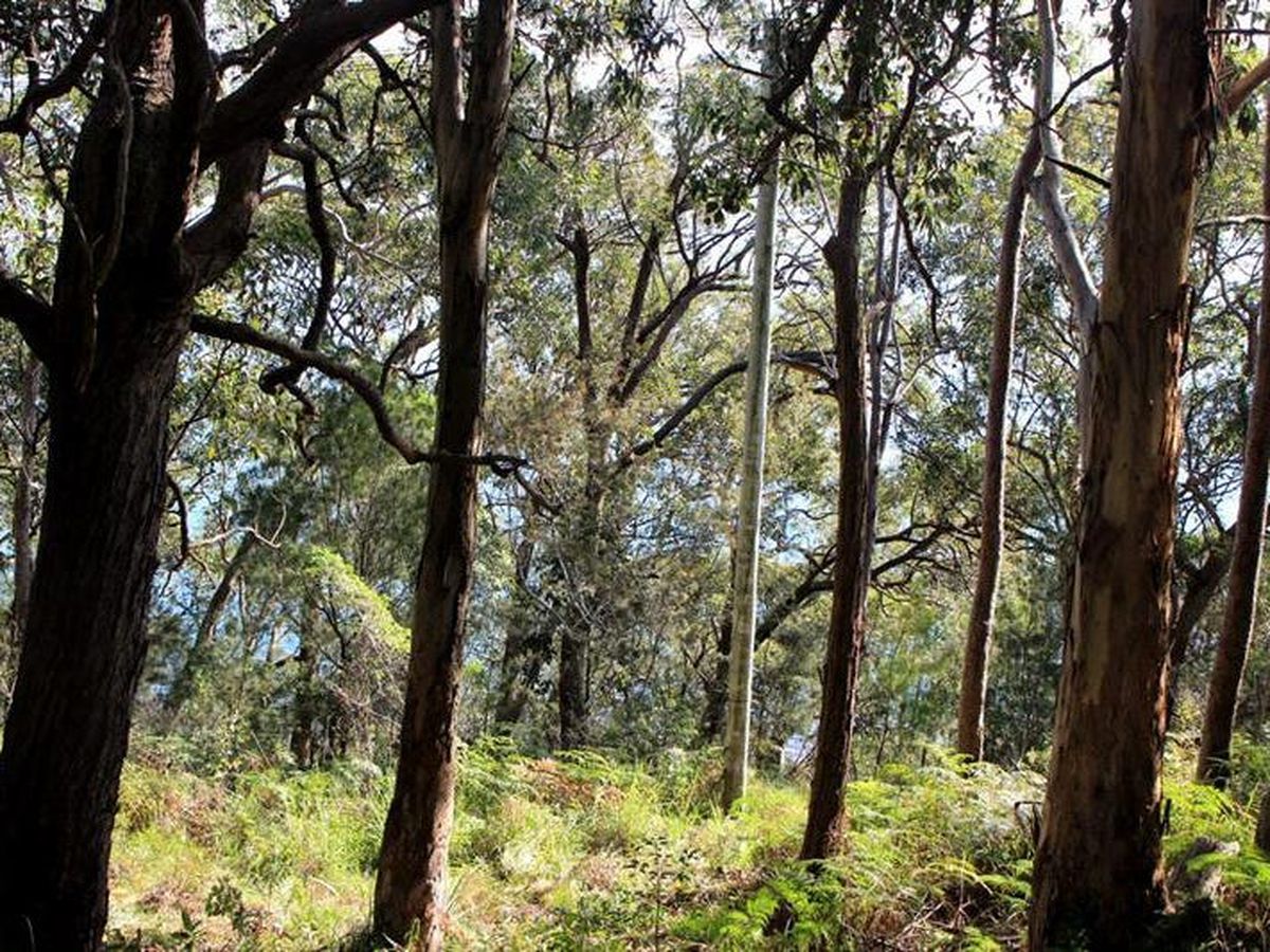 33 Watersleigh Avenue, Mallabula, Mallabula - Thumbnail 4