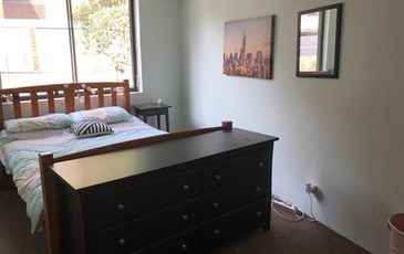 66 / 6-8 Frances  Street, Randwick
