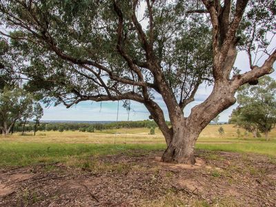 27L Camp Road, Dubbo