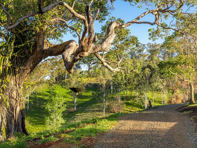372 Ettrick Road, Kyogle