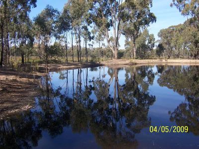 Willows Road, Murchison