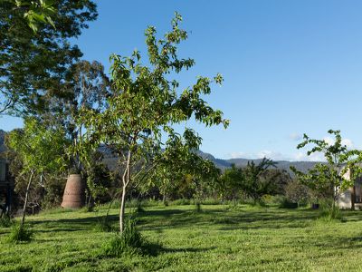 614 Glen Huon Road, Glen Huon
