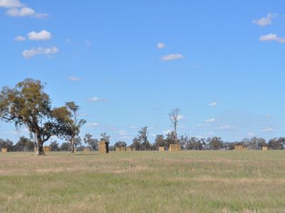 . Henty-walla Road, Culcairn