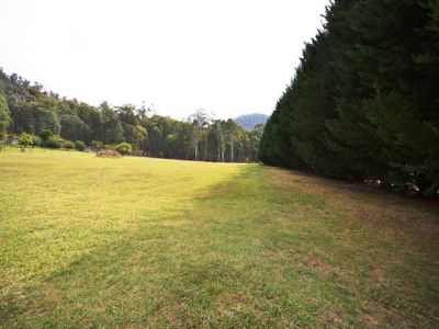 252 Simmonds Creek Road, Tawonga South