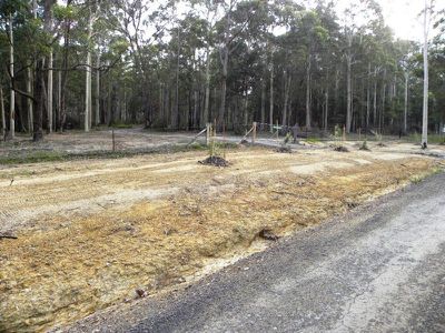 311 Wandean Road, Wandandian