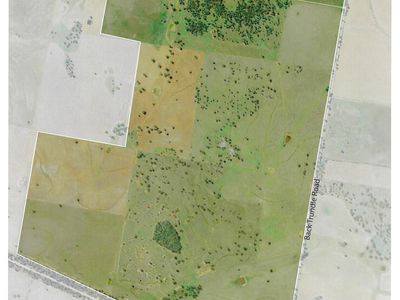 3166 Back Trundle Road, Parkes