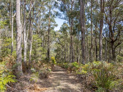 Lot 1, Huon Highway, Surges Bay
