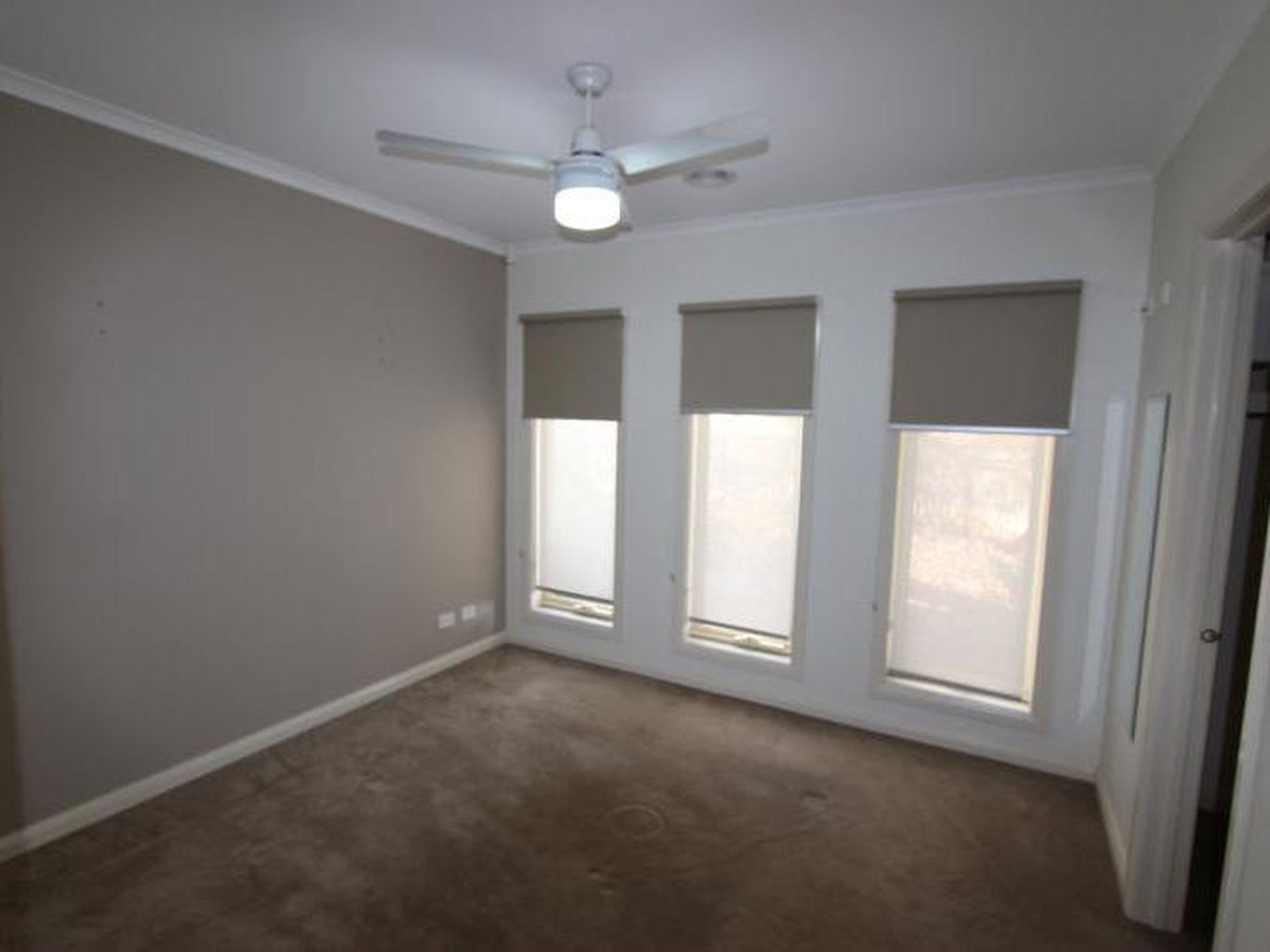 1 / 2 Pickett Crescent, Belmont