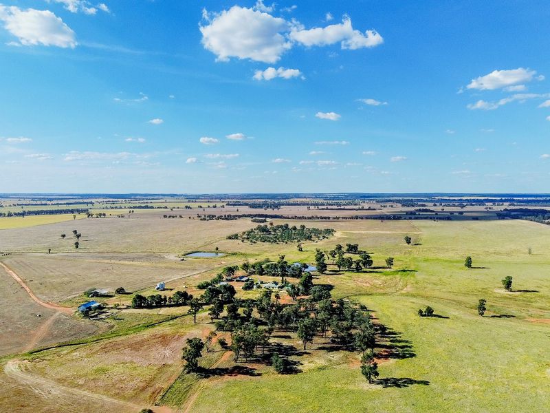 Real Estate Agent Wyalong Quade Moncrieff Livestock & Property