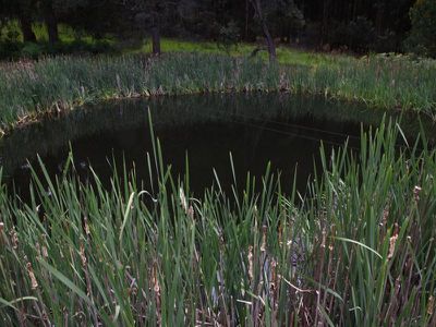 350 Harwoods Road, Geeveston