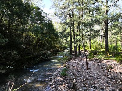 Lot 1 Pig Road, Currowan
