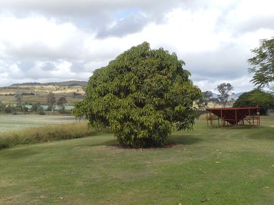 743 Mount Sylvia Road, Upper Tenthill