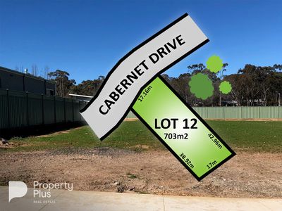 Lot 12, Cabernet Drive, Maiden Gully