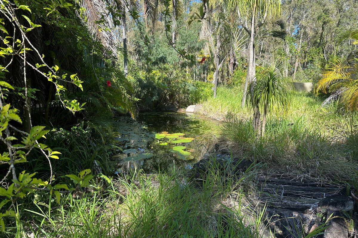 1667 Pumicestone Road, Toorbul