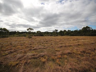 216 Lune River Road, Lune River