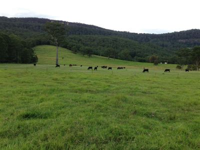 259 Mt Scanzi Rd, Kangaroo Valley