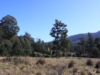 Lot 10, Lonnavale Road, Lonnavale