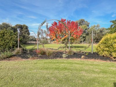 24 Suttie Drive, Swan Hill