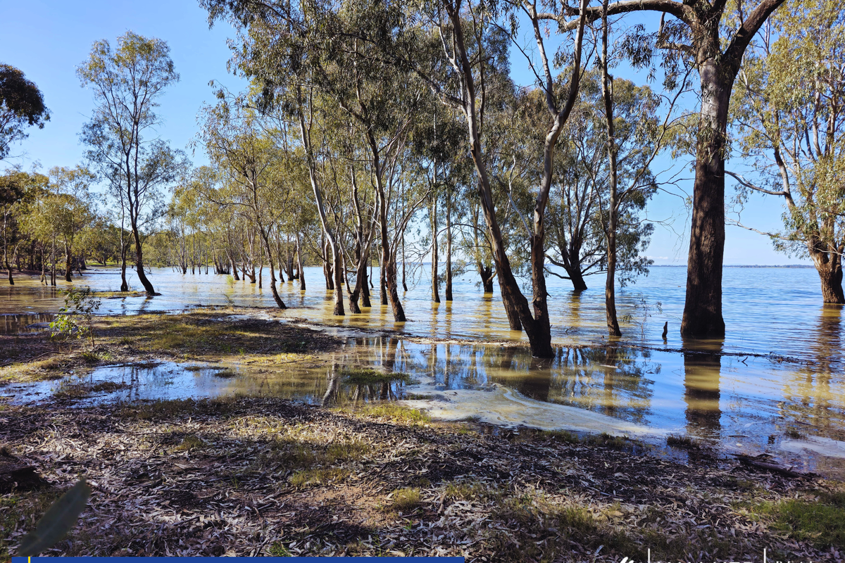 991 Rushworth-Tatura Road, Waranga Shores