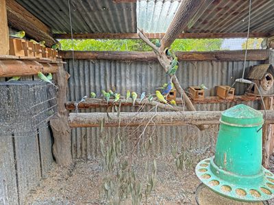 82 Bushs Lane, Gunnedah