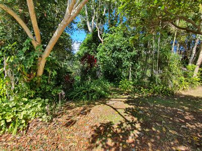 3 Cassia Street, Yungaburra