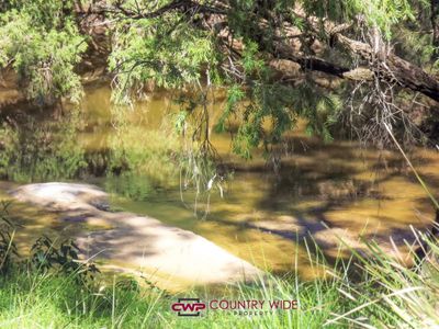 729 Wallangra Road, Ashford