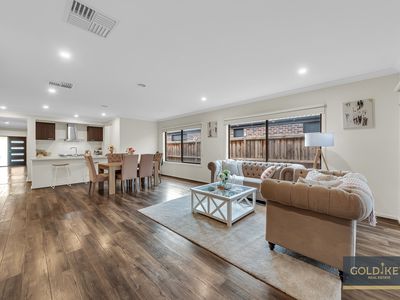 14 Walbrook Drive, Clyde North