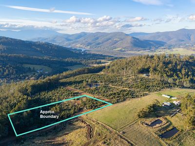 Lot 6 Paddys Lane, Franklin