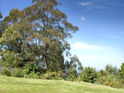 589 Woodhill Mountain Road, Berry