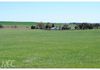 2472 Banjo Paterson Way, Cumnock