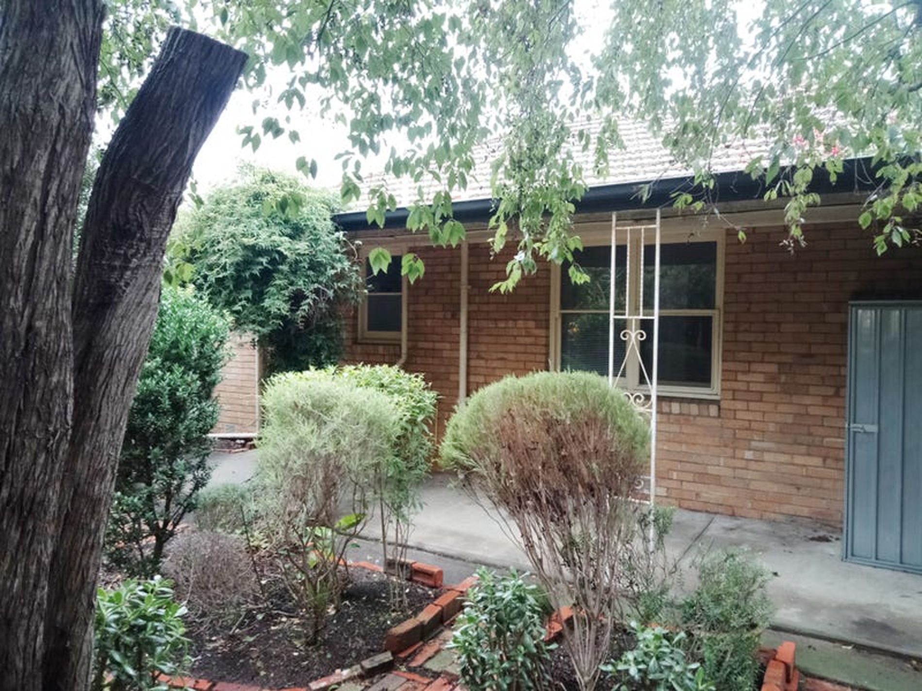 14 Saffron Street, Newtown