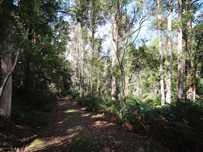 Lot 19 Waggs Gully Road, Ranelagh