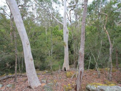 166a Bendeela Rd, Kangaroo Valley
