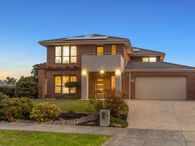 24 Black Wallaby Drive, Langwarrin