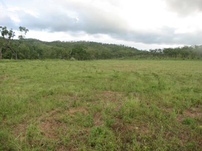 Mareeba