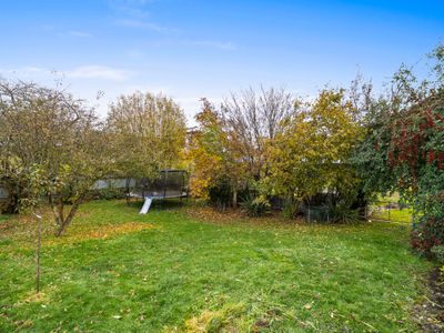 5 Stronsa Street, Palmerston