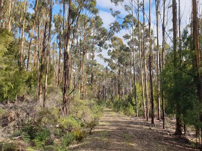 Lot 2 Huon Highway , Dover