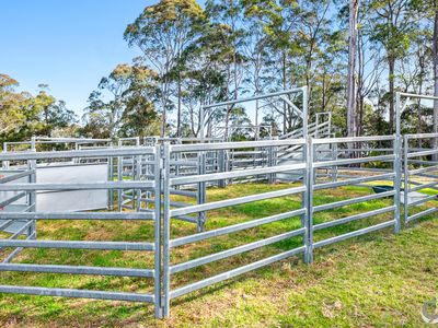 233 Wagonga Scenic Drive, Narooma