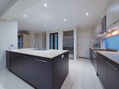 1 Feathertail Pl, Gumdale