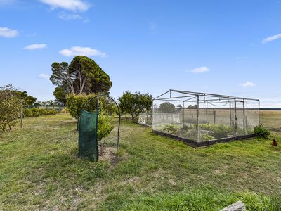424 Sebastopol Springs Road, Millicent